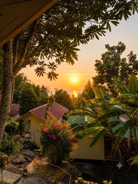 Flow Jungle Residency – Koh Phangan
